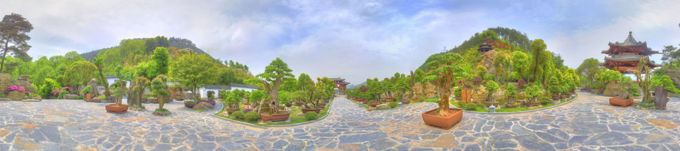 图片新闻