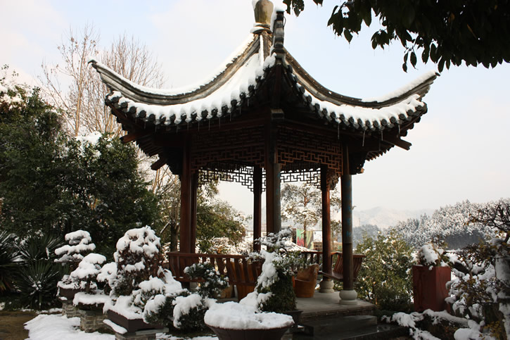 图片新闻