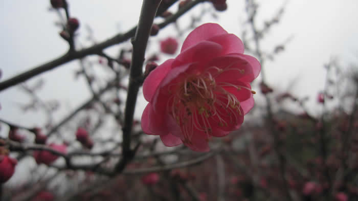 图片新闻