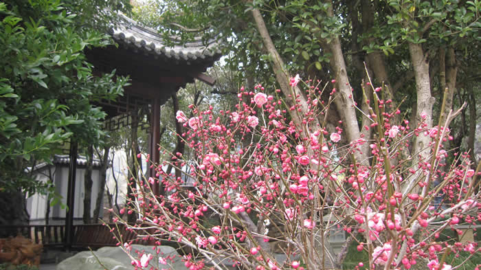 图片新闻