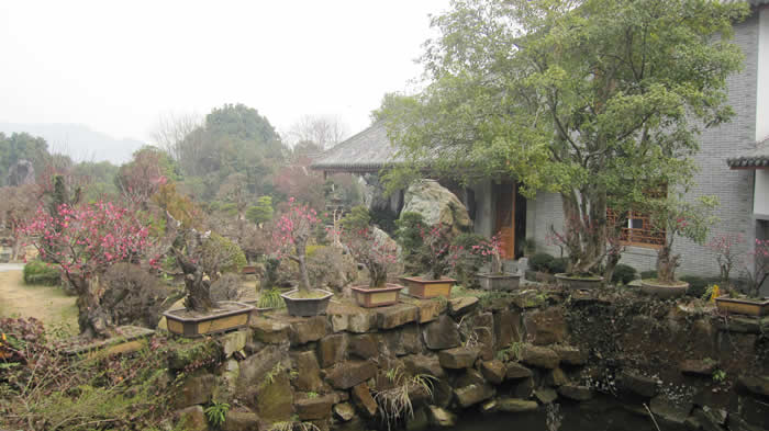 图片新闻