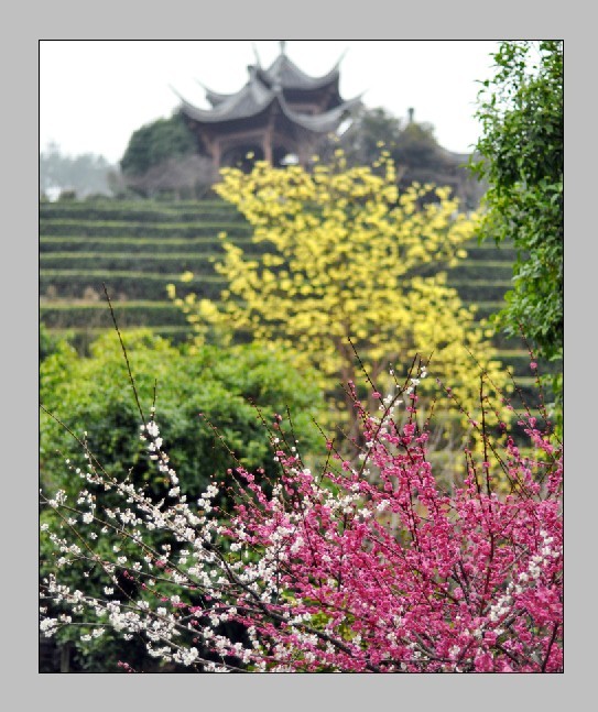图片新闻