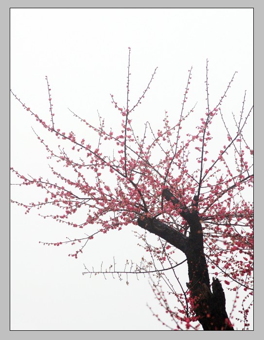 图片新闻