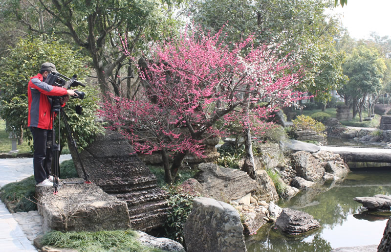 图片新闻