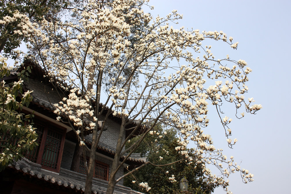 图片新闻