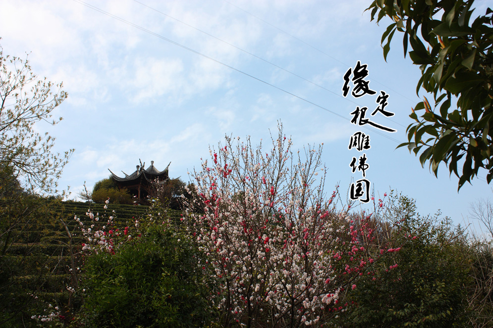 图片新闻