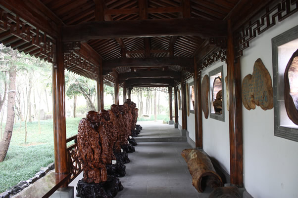 Zodiac cultural corridor