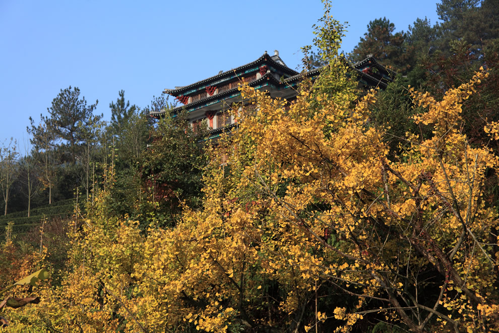 광경