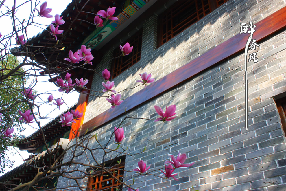 광경