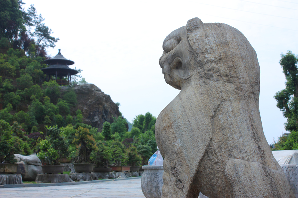 광경
