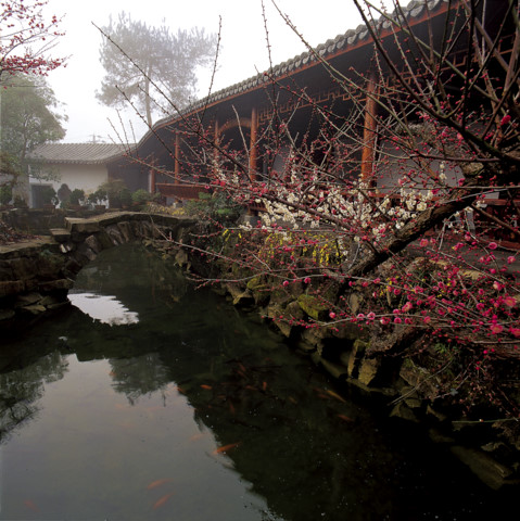 酔根谭