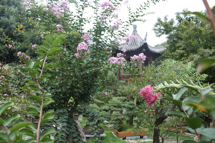 青梅園