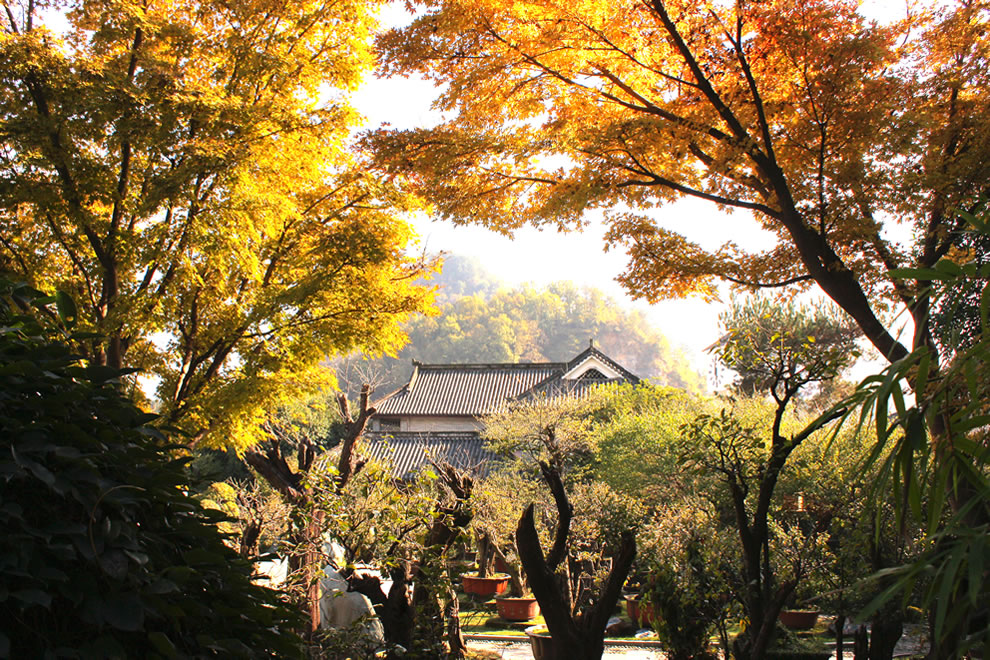 光景