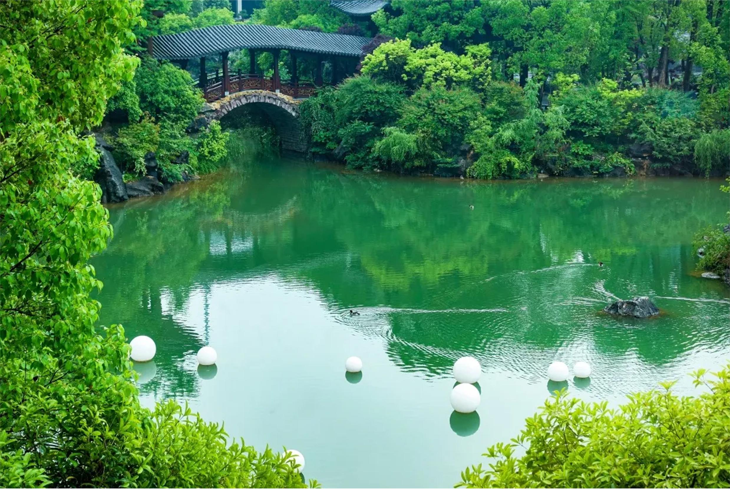 图片新闻
