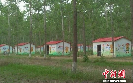 茂密的树林里成片的“八戒”别墅 朱志庚 摄