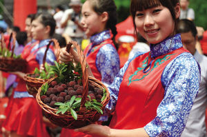 茶山杨梅周日前后大量上市价格比去年便宜三四成