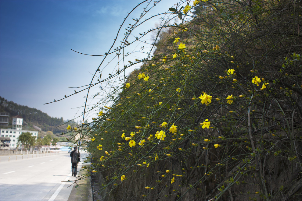 To Step red footprint and to experience new trend of era – two-day red tour in Kaihua County
