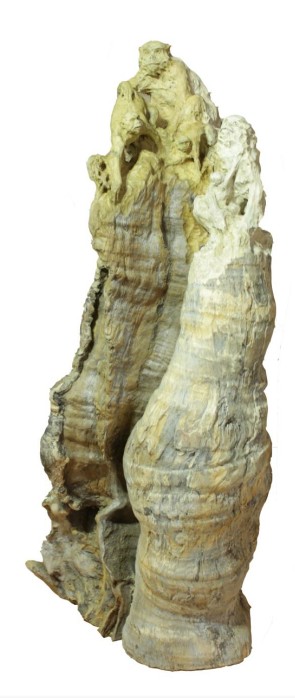 林瑞忠（钱源相守）.jpg