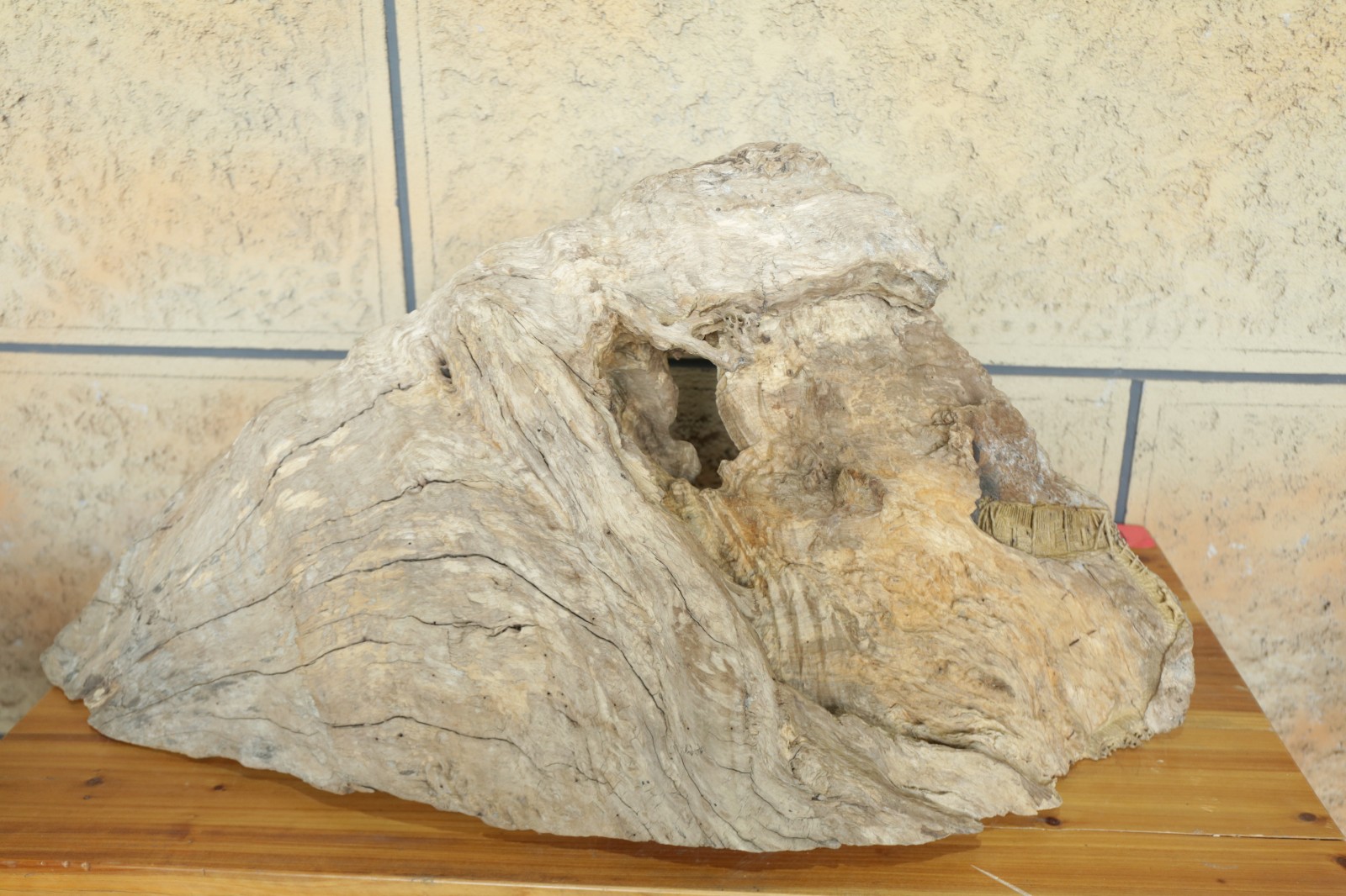 5P4A8840.JPG
