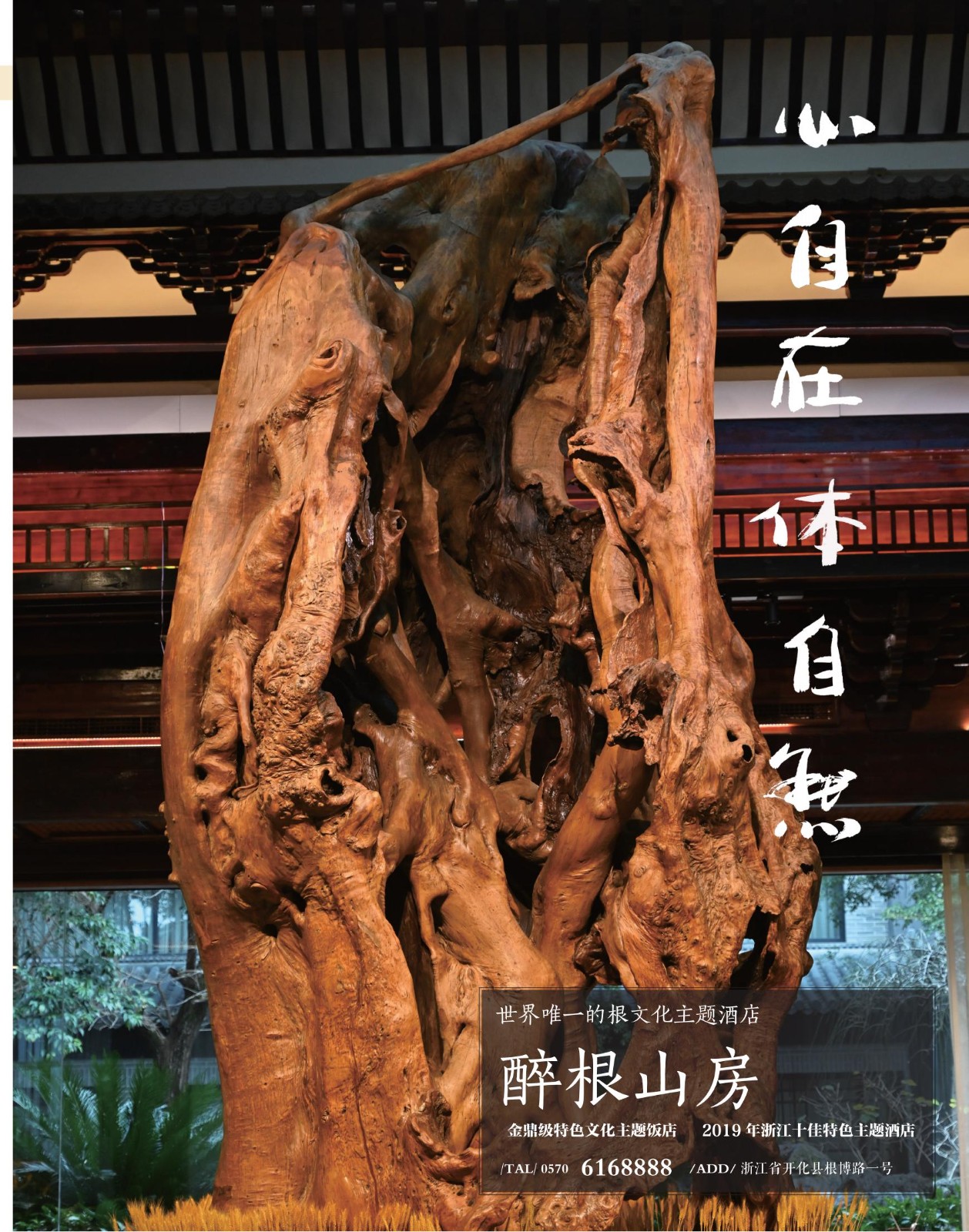 图片新闻